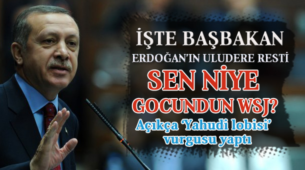 erdogan-grup-uludere1