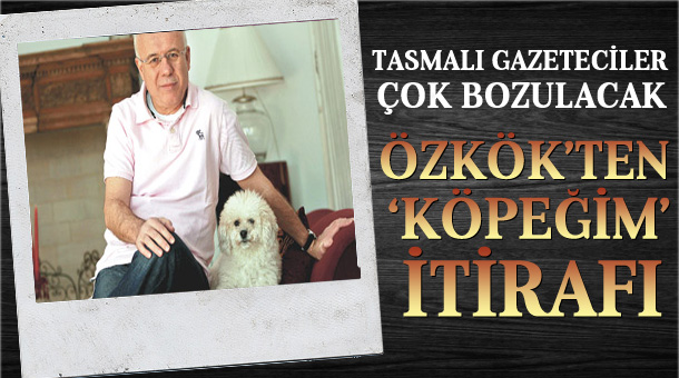 ozkok-kopek1