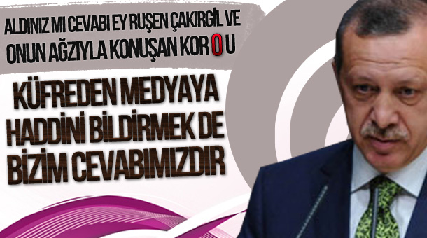 erdogan-medya