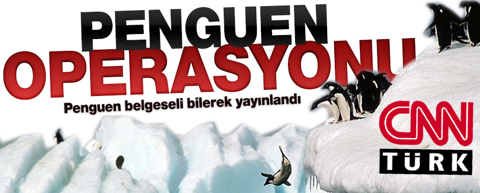 cnn-penguen