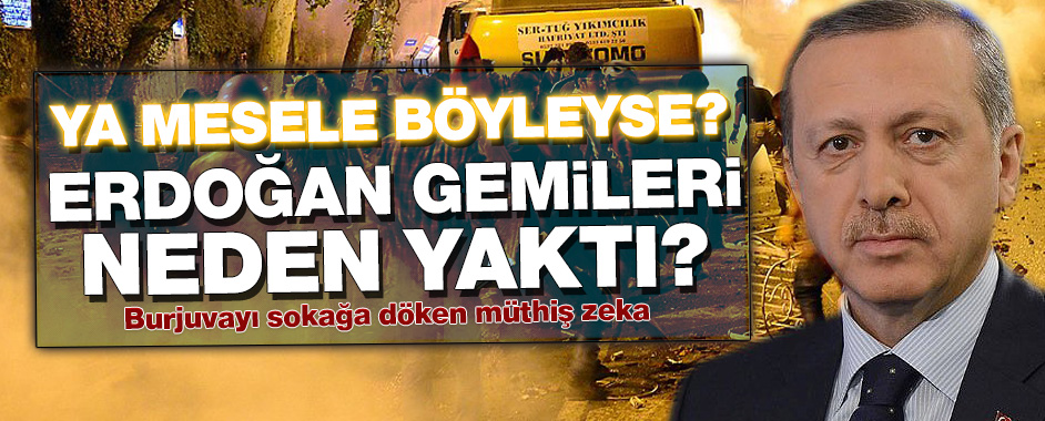 erdogan-gezi-zeka
