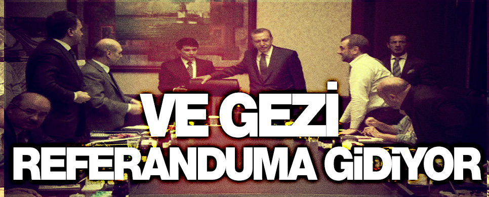 gezi-referandum