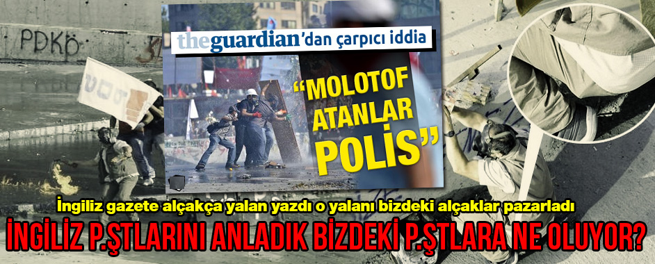 guardian-gezi