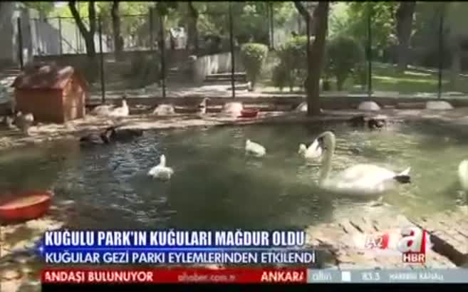 kugulu-park
