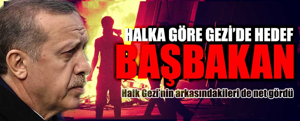 gezi-basbakan