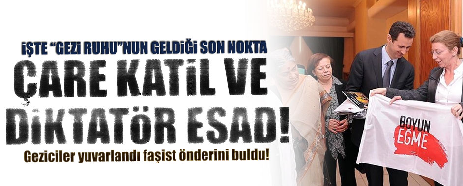 esad-gezi1