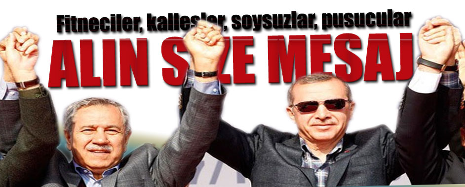 erdogan-arinc1