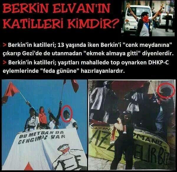 berkin5