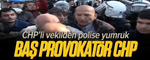 chp