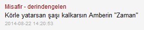 yorum-amberin3