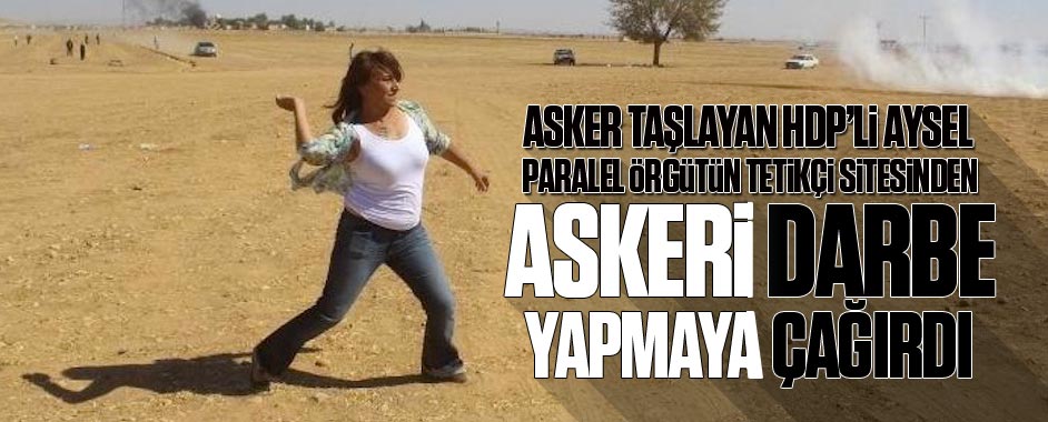 aysel1