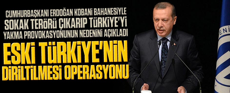erdogan6