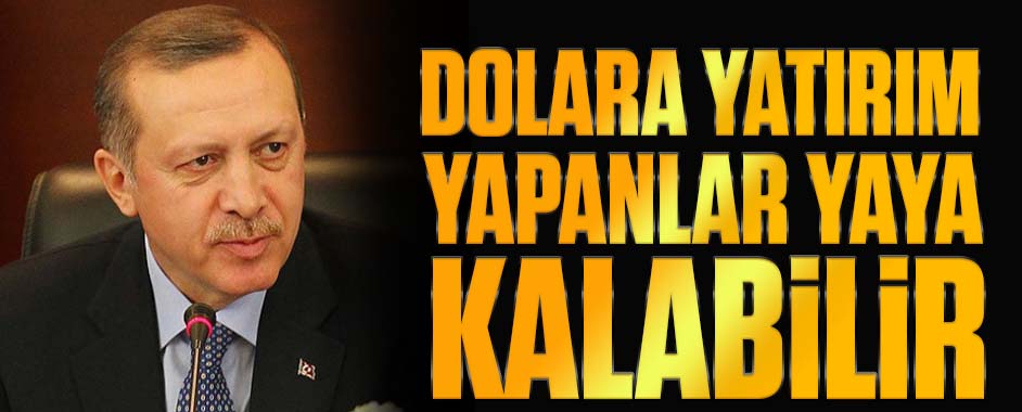 erdogan-dolar