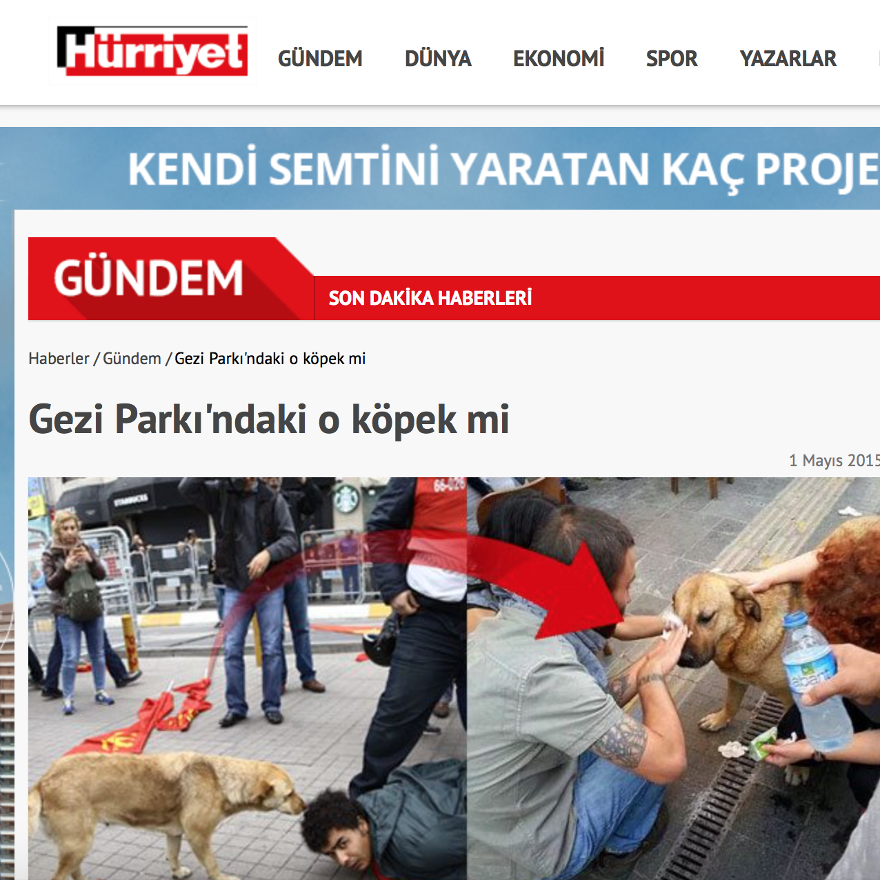 kopek-hurriyet3