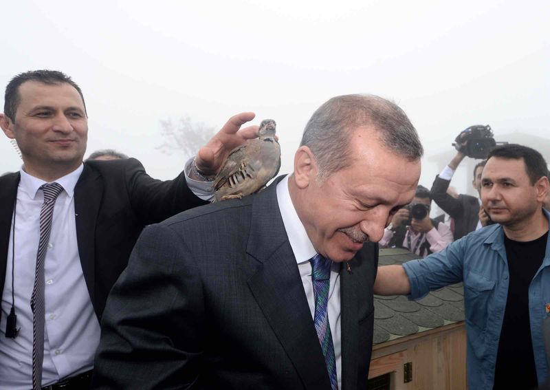 erdogan-k1