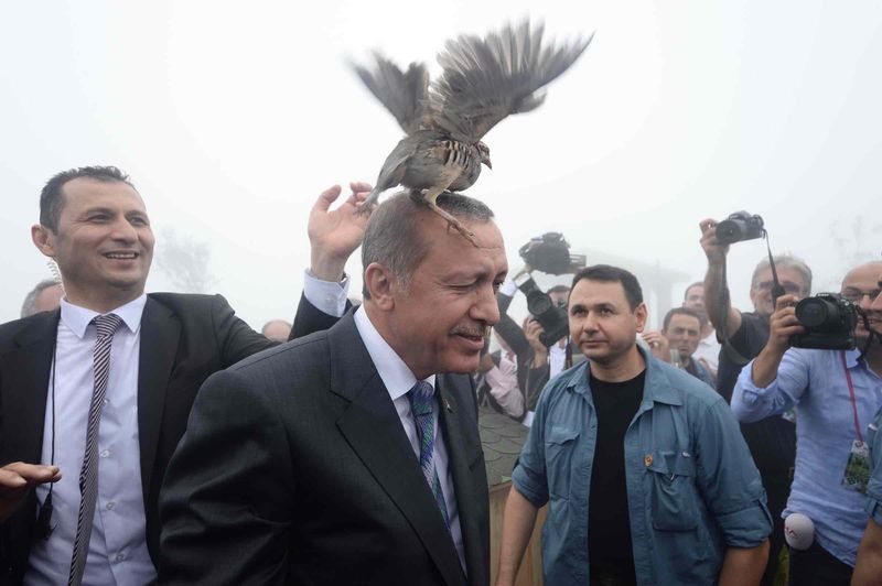 erdogan-k3
