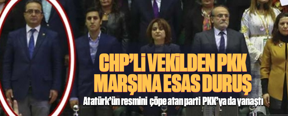 chp-pkk1