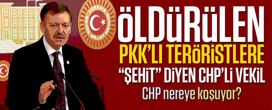 chp-vekil