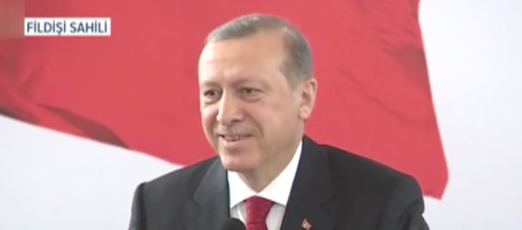 erdogan-fildisi