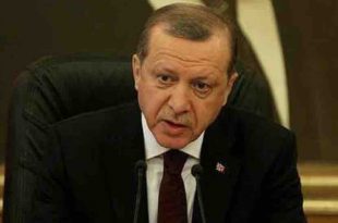 erdogan-sel1