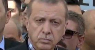 erdogan8