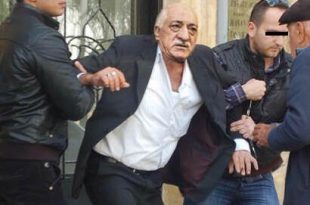 gulen12