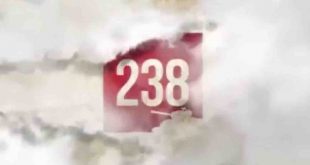 238