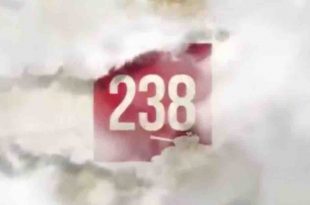 238