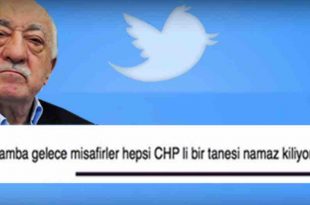 feto-chp