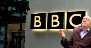 bbc-feto