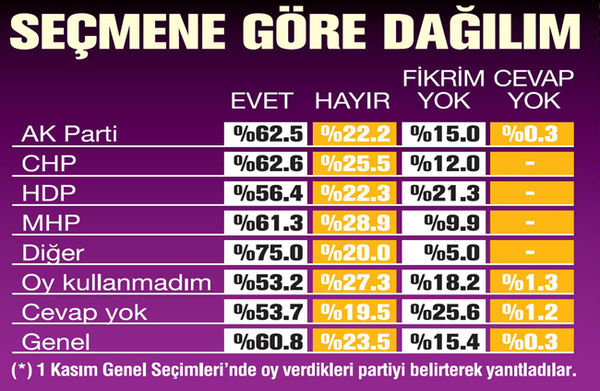 anket13