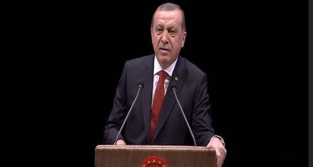 cerdogan4