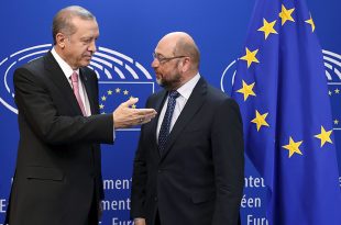schulz-erdo