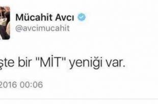 avci2