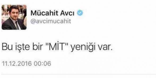 avci2