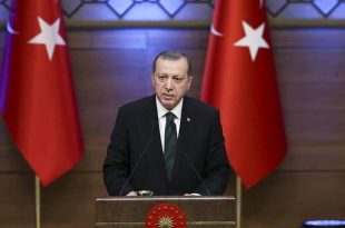 erdogan-pyd1