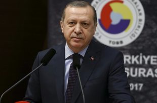 erdogan2