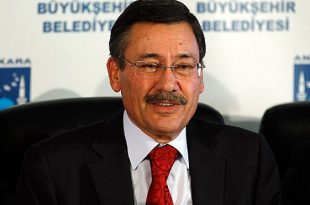 mgokcek
