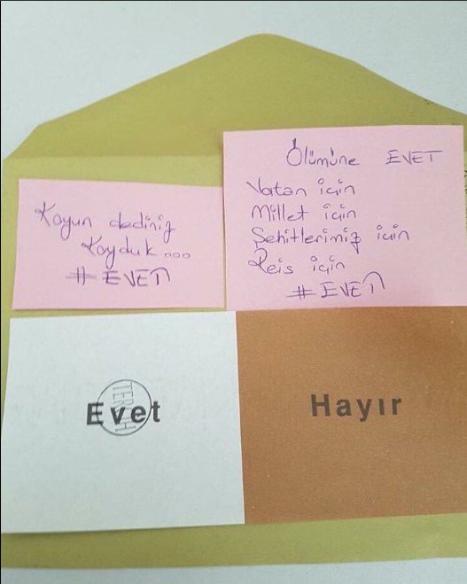 evet1