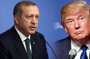 erdogan-trump