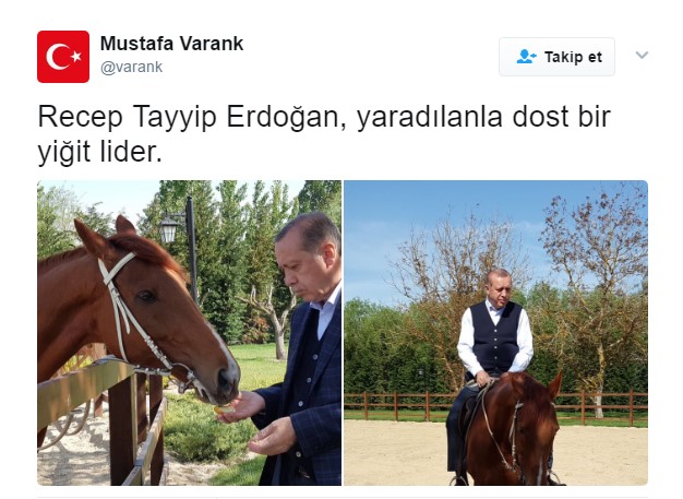 erdogan3