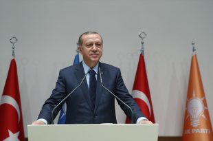 erdogan5