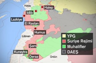 idlib1